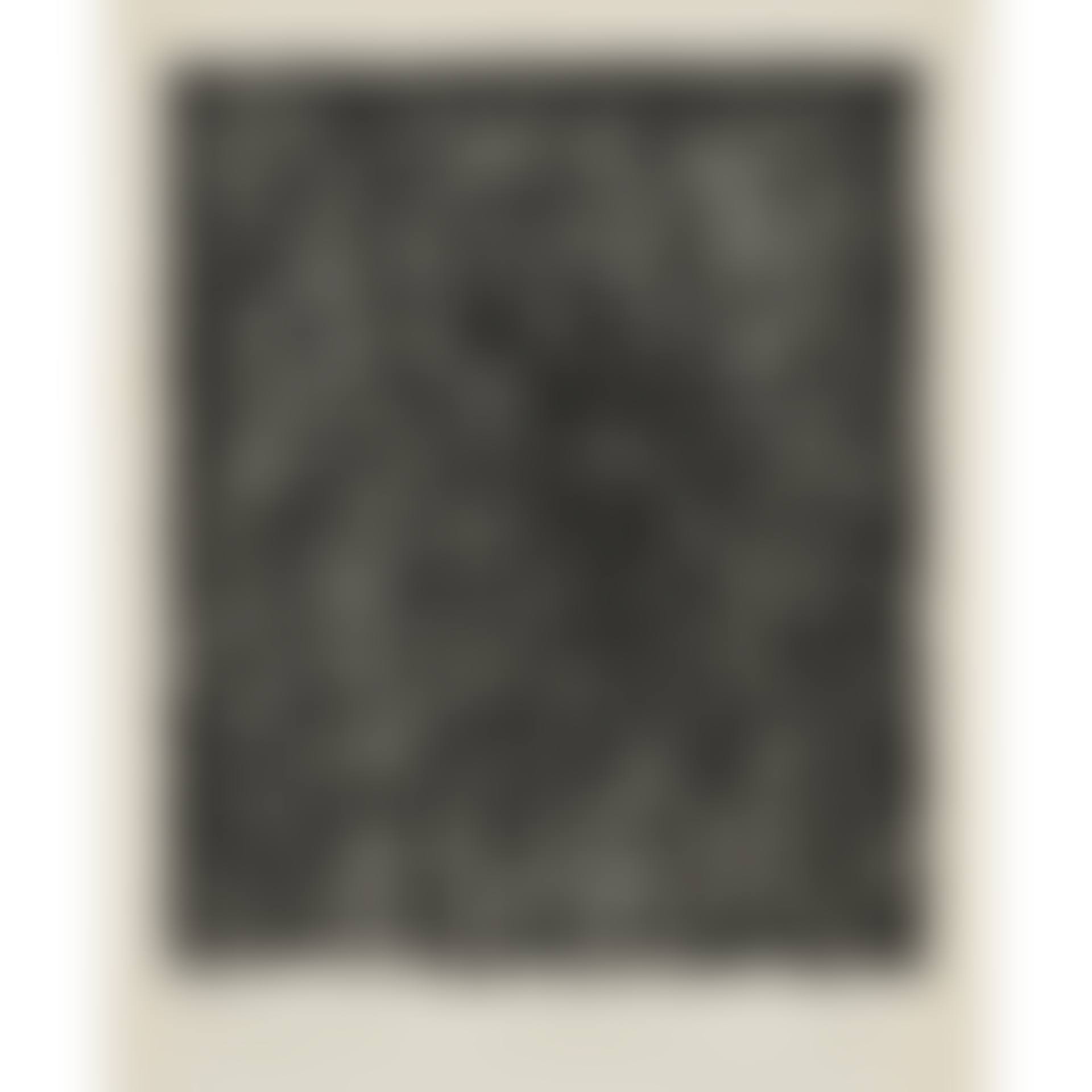 Etching for Obama, from Artists for Obama (preview)