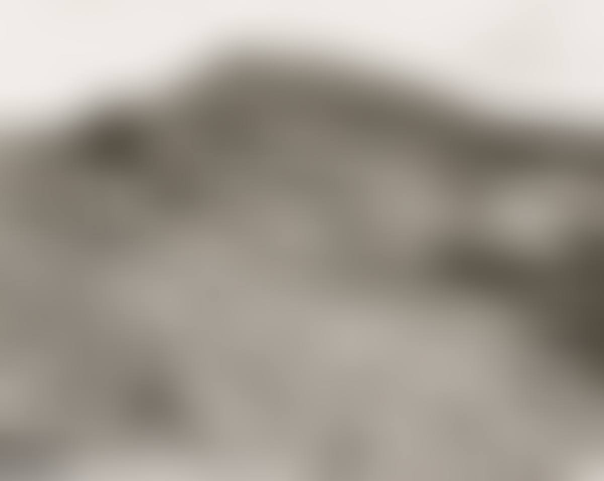 Clearcut and burned, east of Arch Cape, Oregon (preview)