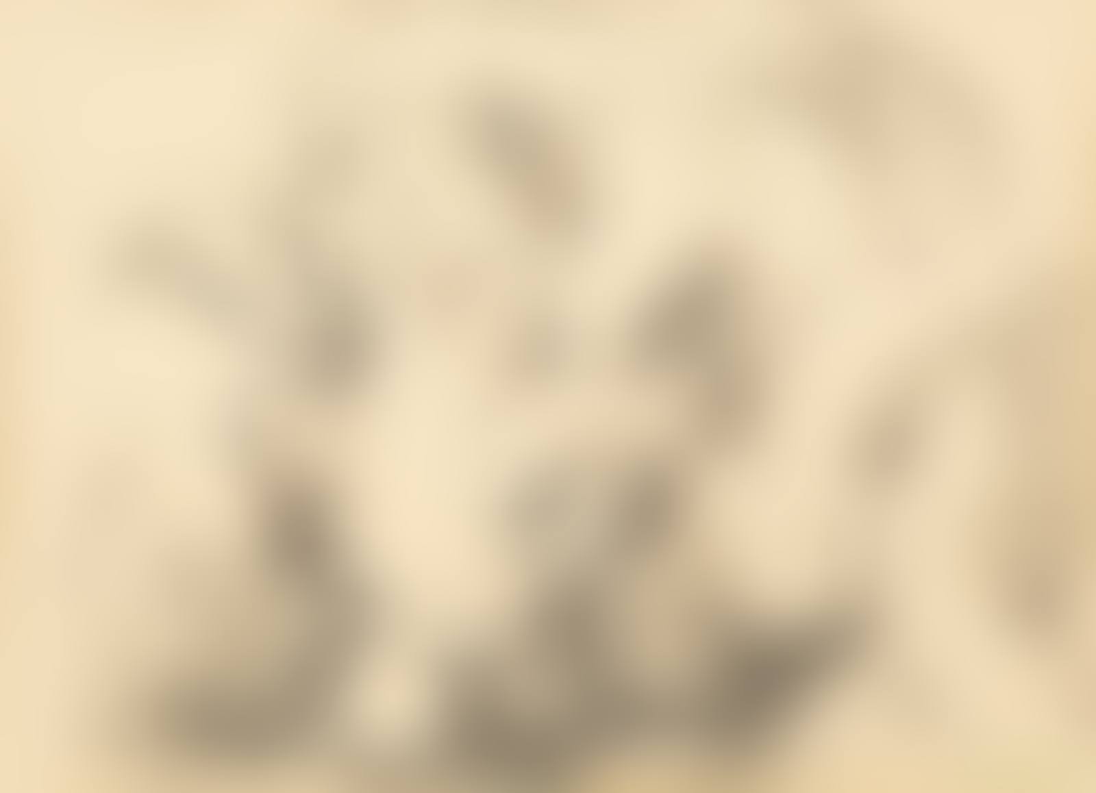 Minotaure et nue (preview)
