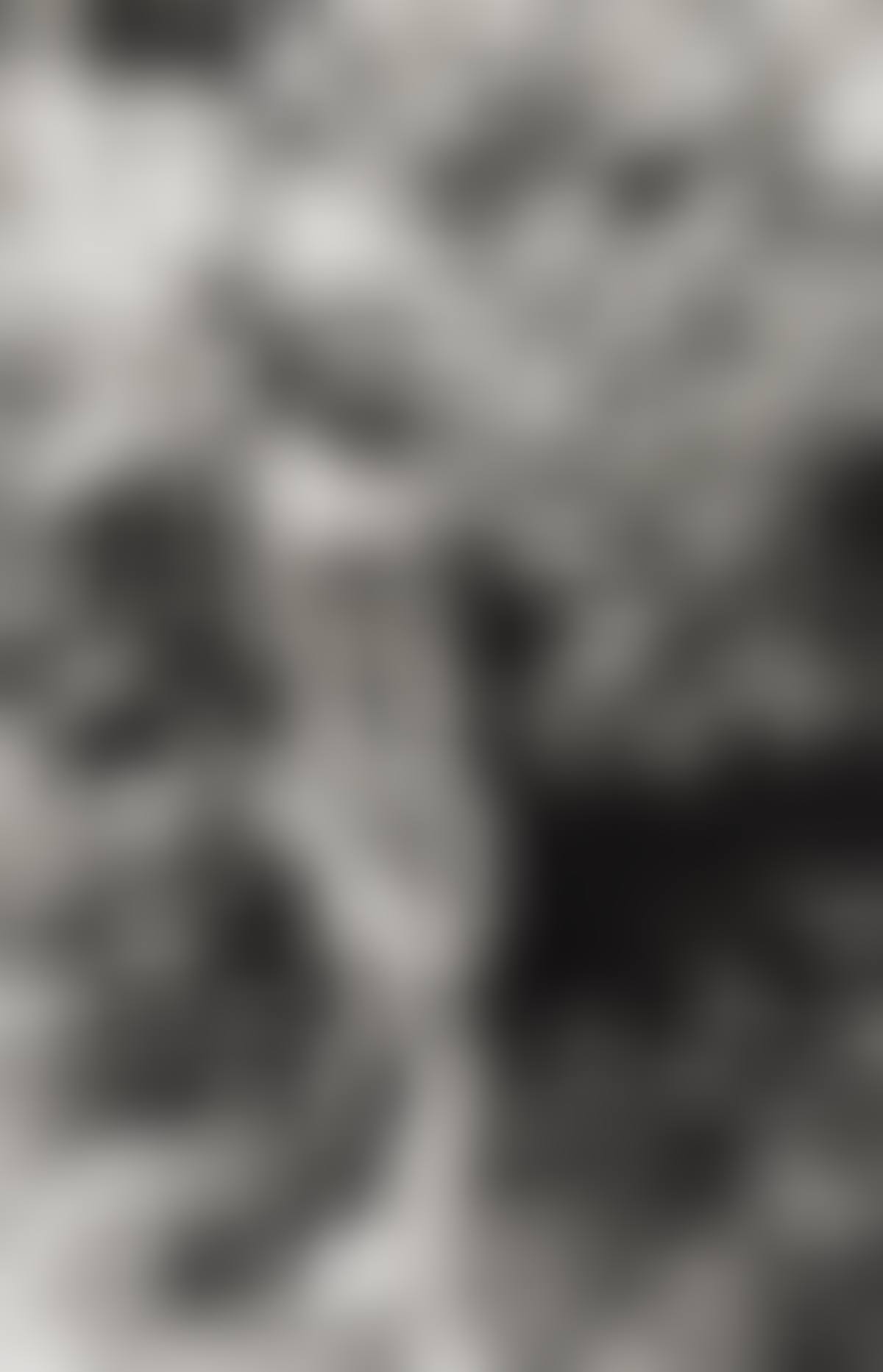 Untitled (man urinating in bush). (preview)