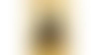 Portrait of a Spanish Maja; three-quarter-length and foiled against a sunset (preview)