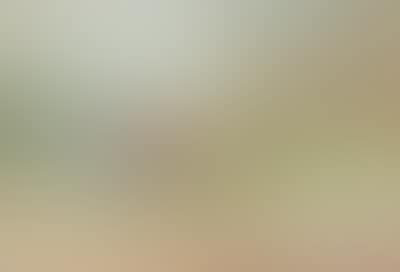 Ploughing Scene (preview)
