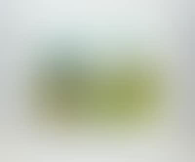 Extensive landscape (preview)