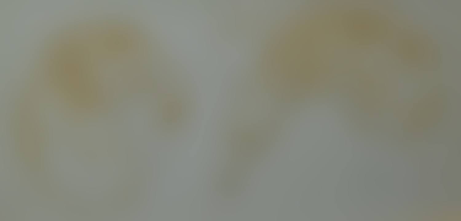 "Two Whippet Studies" (preview)
