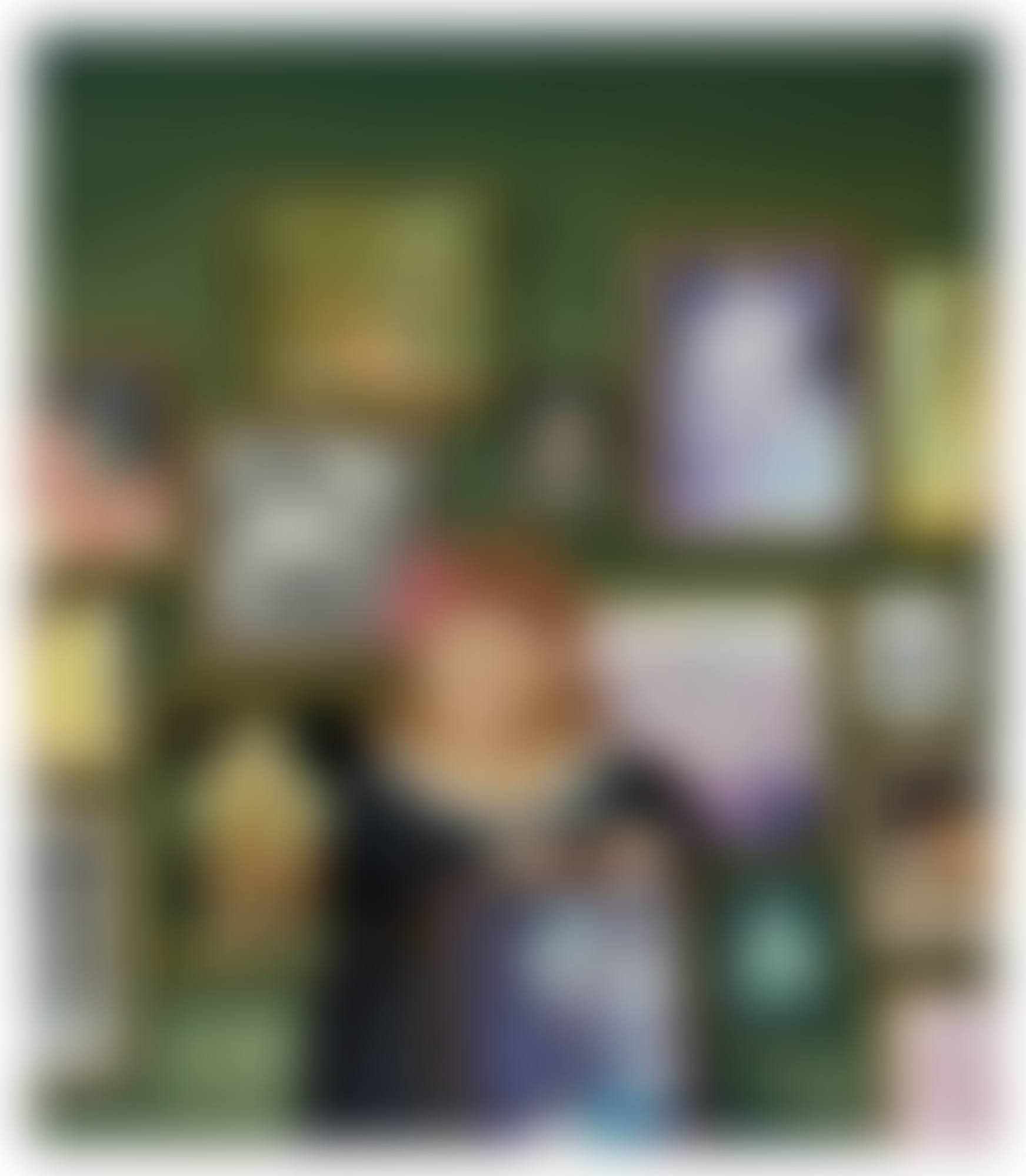 La coleccionista (preview)