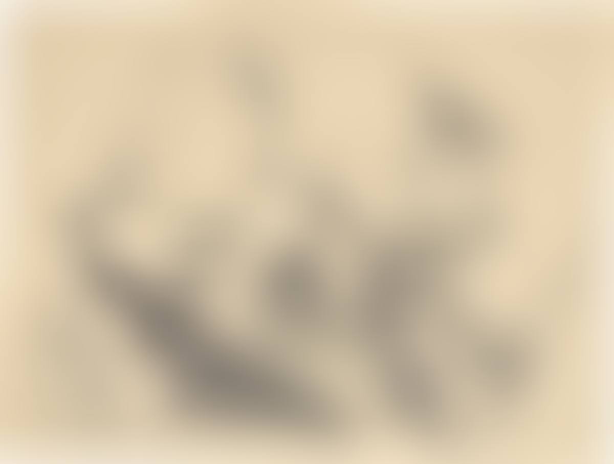 ”Stilleben” (preview)
