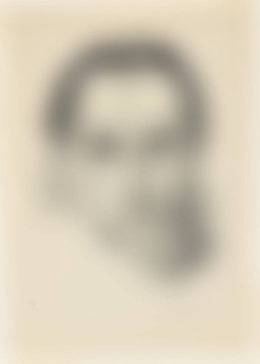 ”Bildnis Wolfgang Gurlitt” (preview)