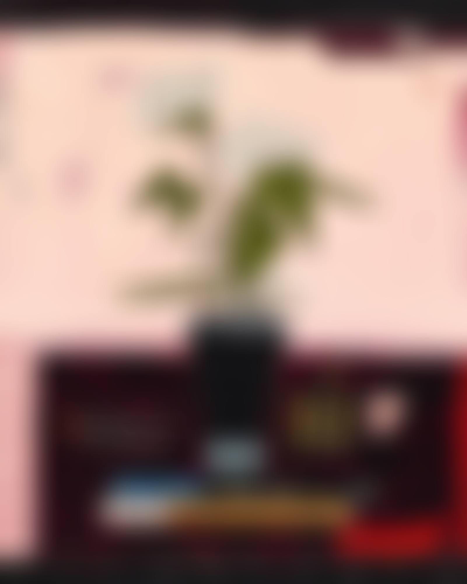 Still Life; Still Life (preview)