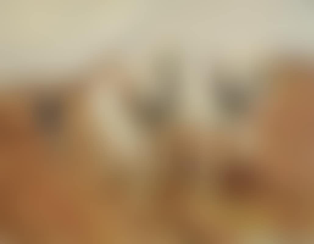 Working Shires (preview)