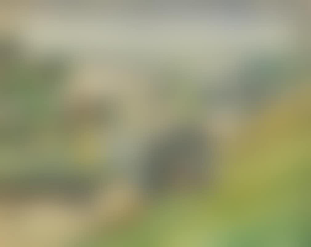 Old Village Milltown, Dublin (preview)