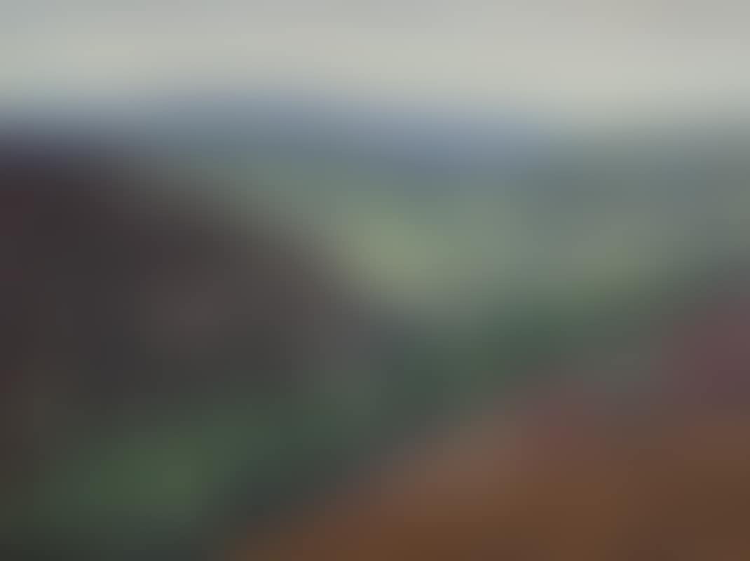 Wicklow Vale (preview)