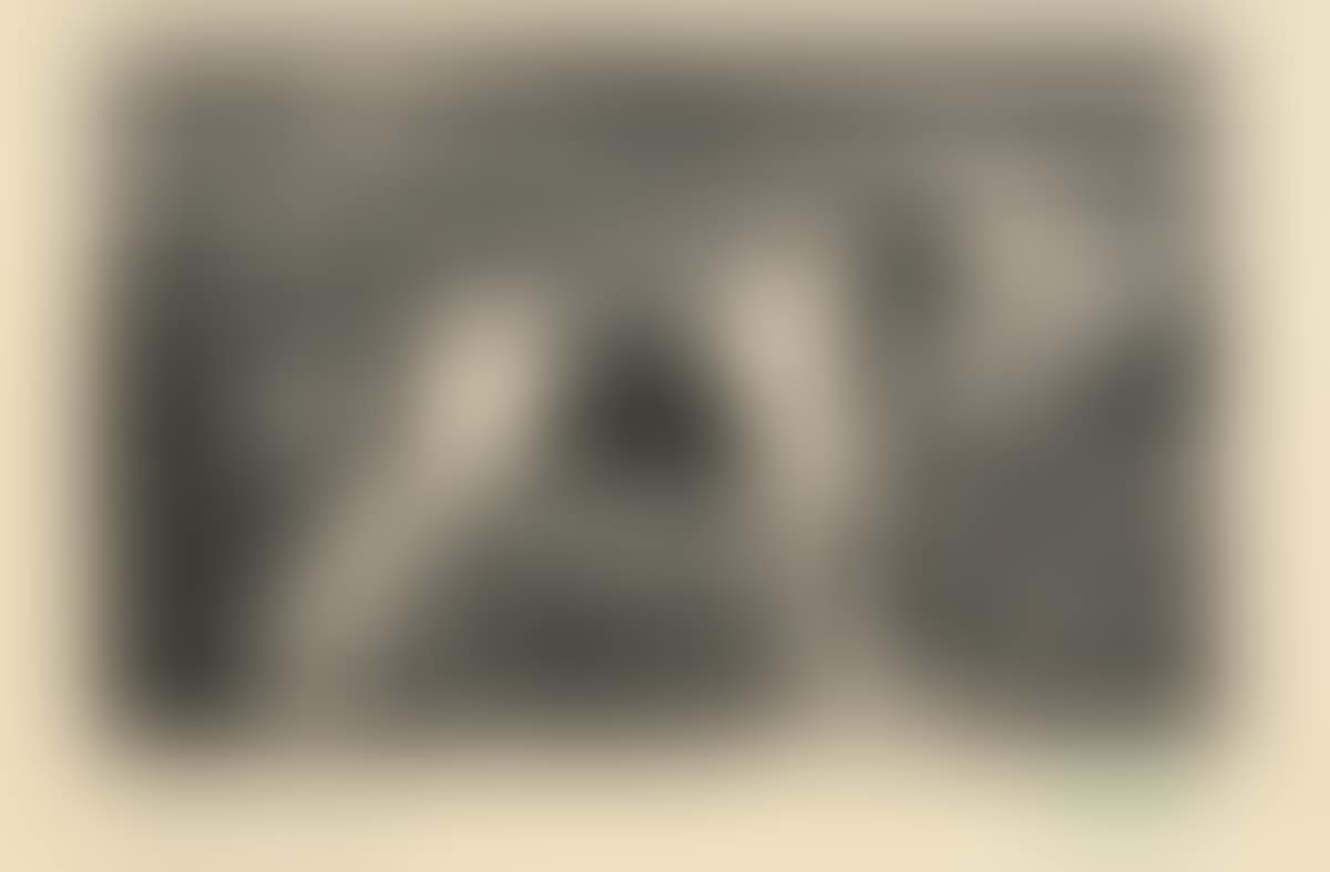 Spaniel (preview)