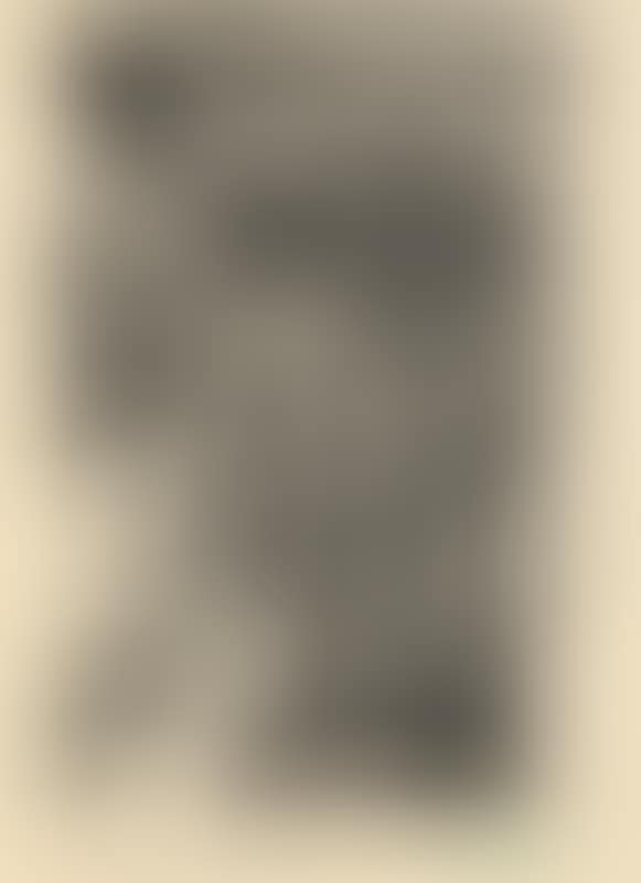 Wicklow Labourer (preview)