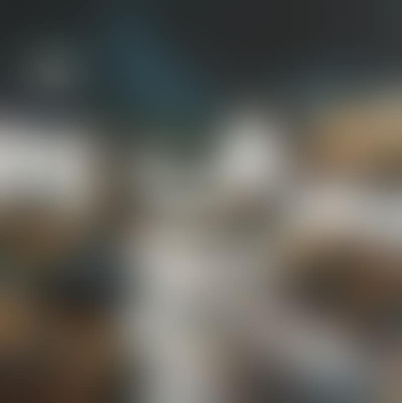 The Woman, The Homes and the Constant Sea (preview)