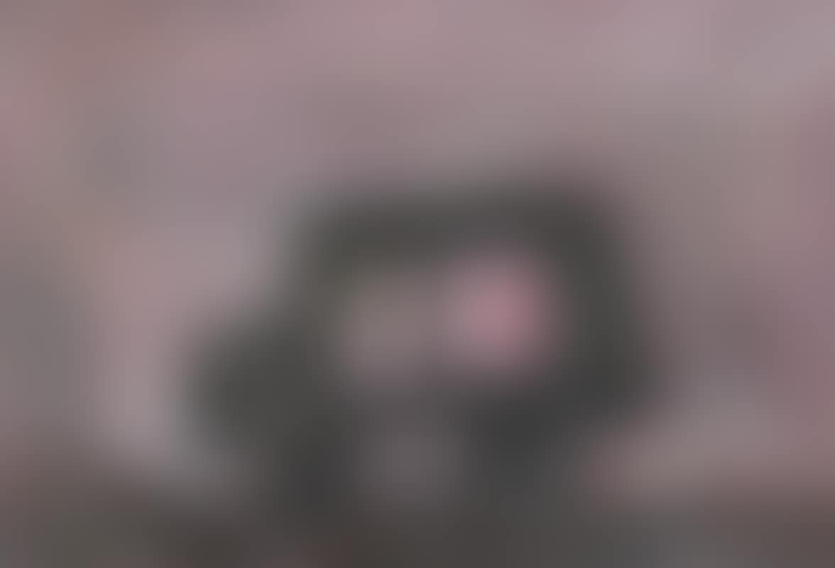 The Grey Car (preview)