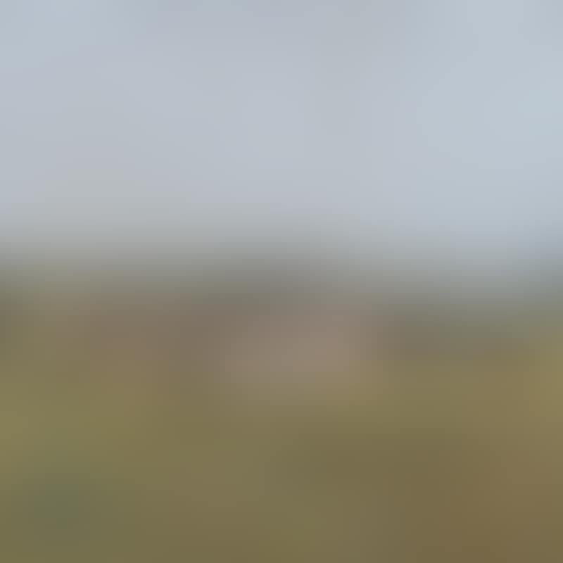 The Pasture (preview)