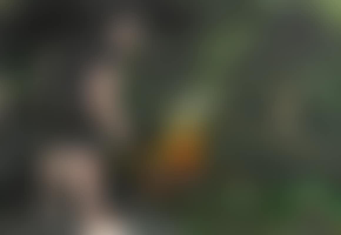 Camp Fire (preview)