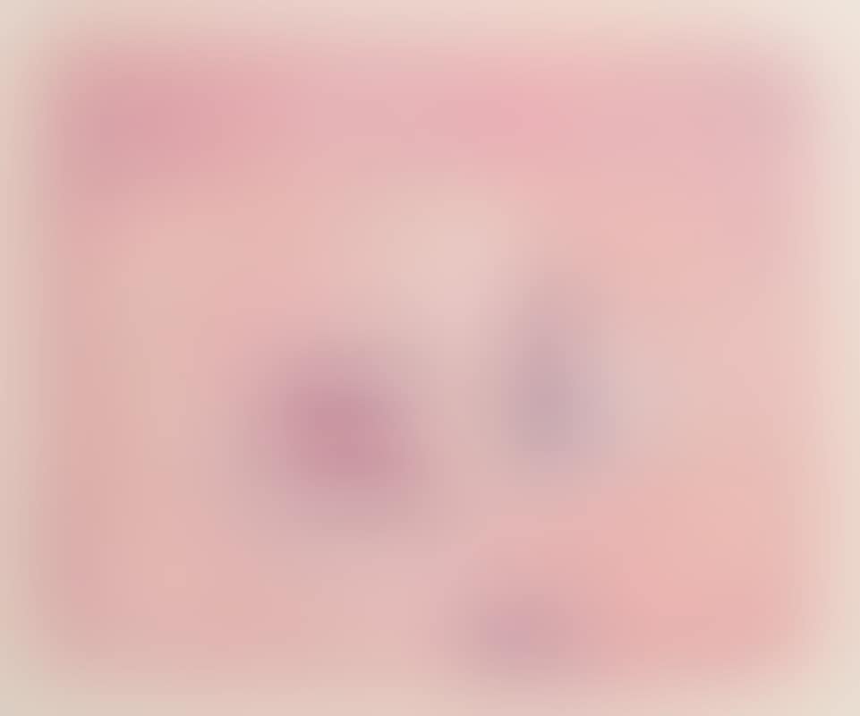 Tabletop Still Life (preview)
