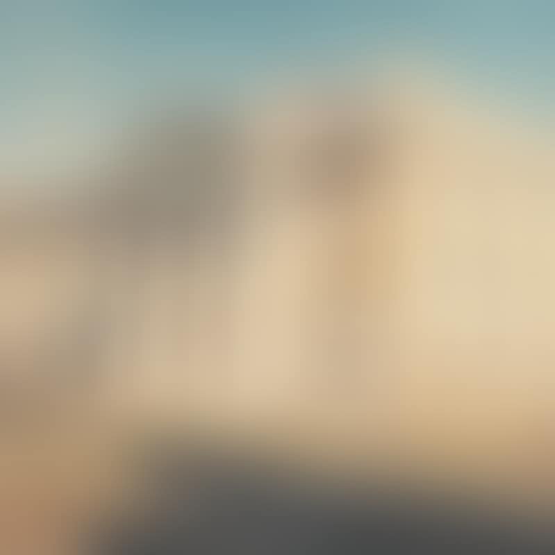 Trinity College, Chapel I (preview)