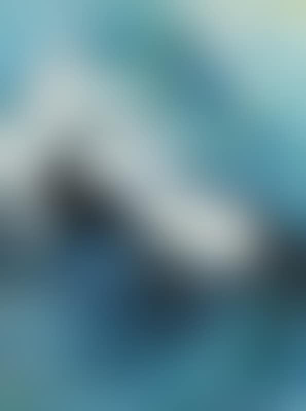 Surfing the Waves (preview)