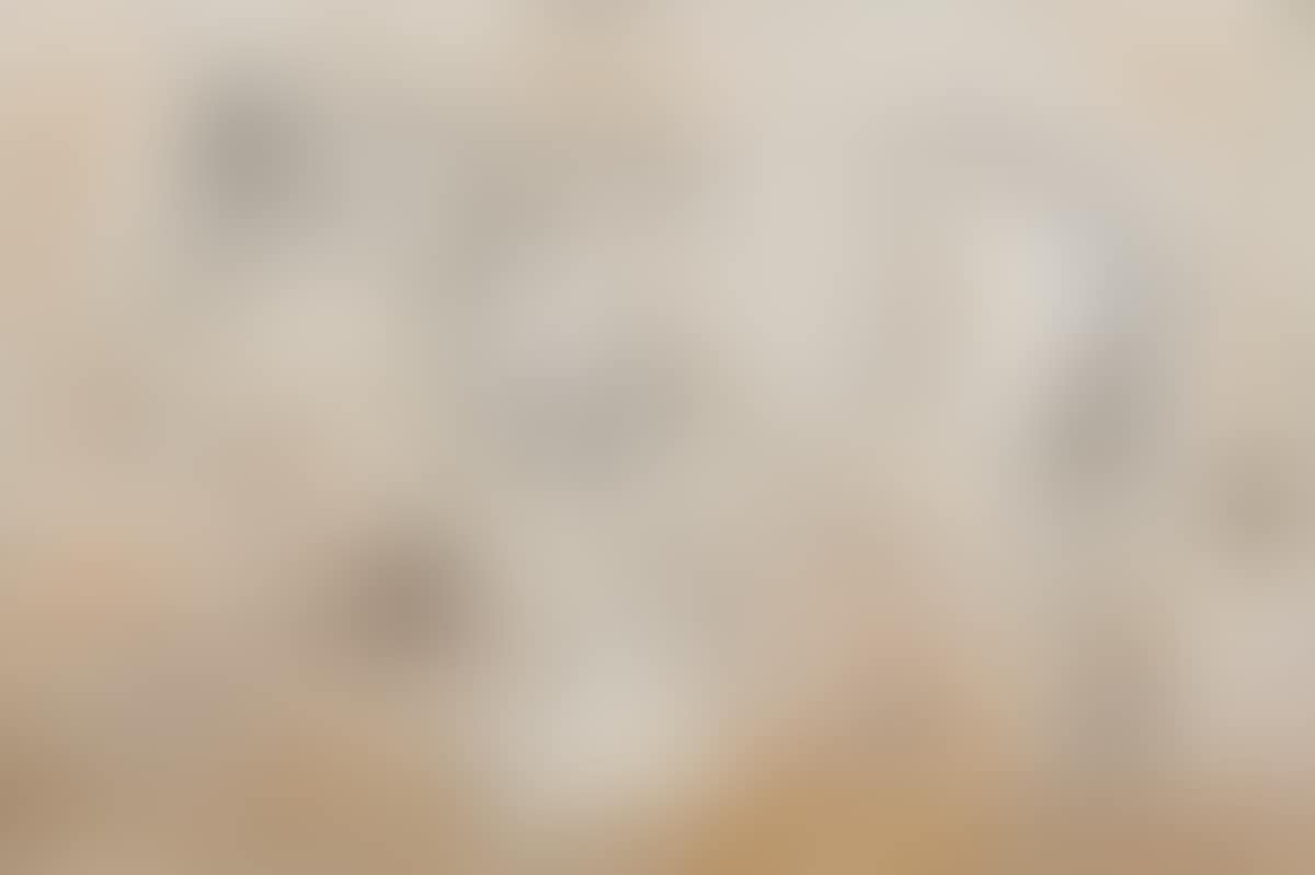 Grey Chaser (preview)