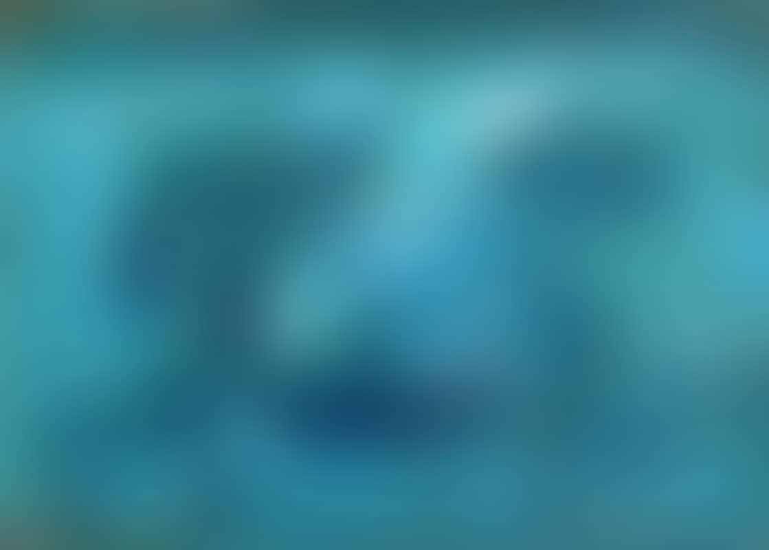 Bogland Water (preview)