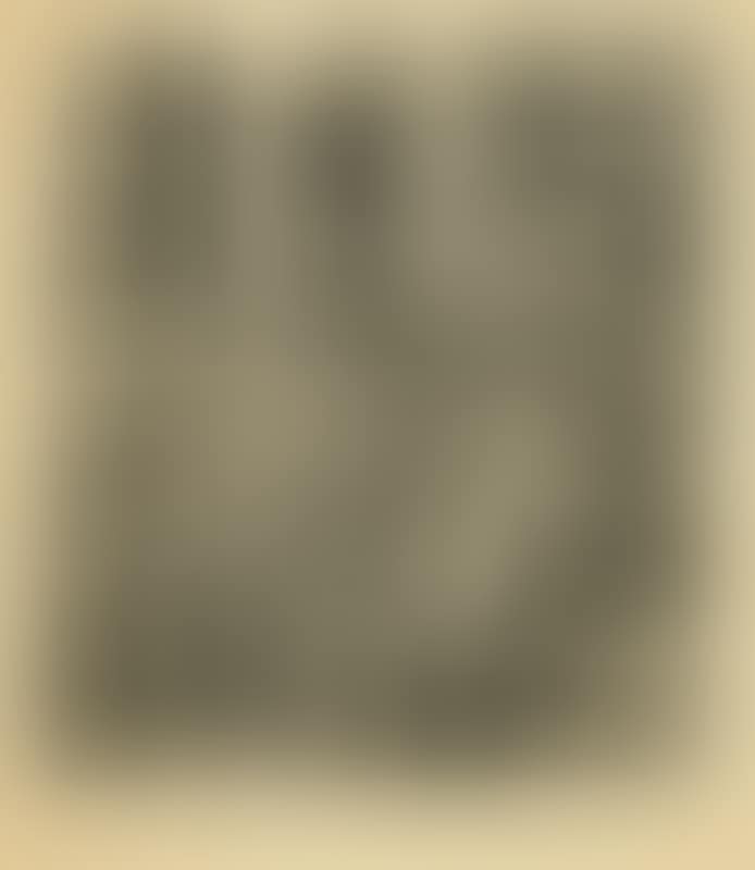 Accordion Player (preview)