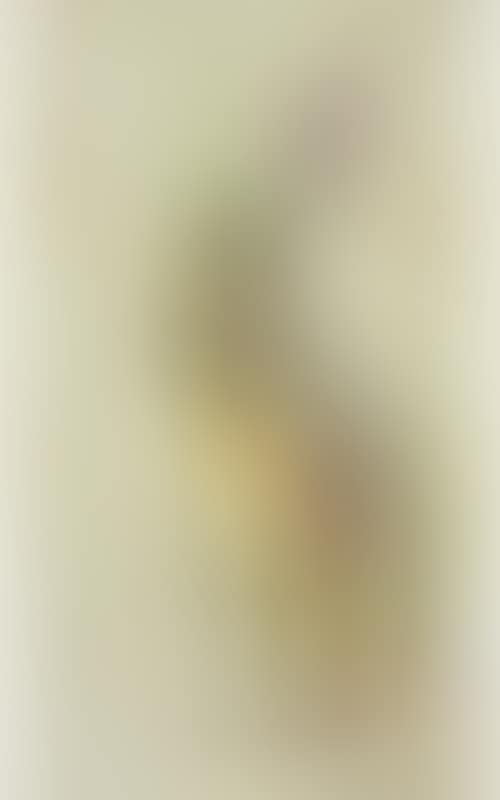 Irish Hare (preview)