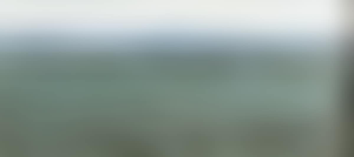 Shoreline, Sligo (preview)