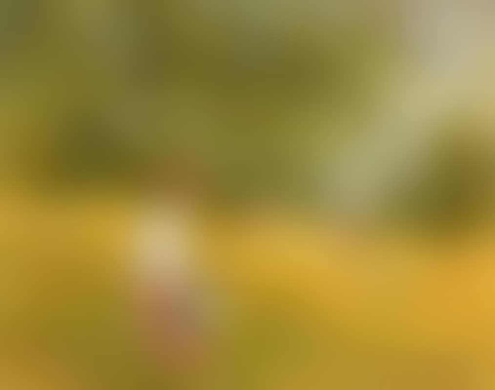Field of Gold (preview)