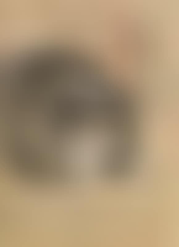 Lassie (preview)