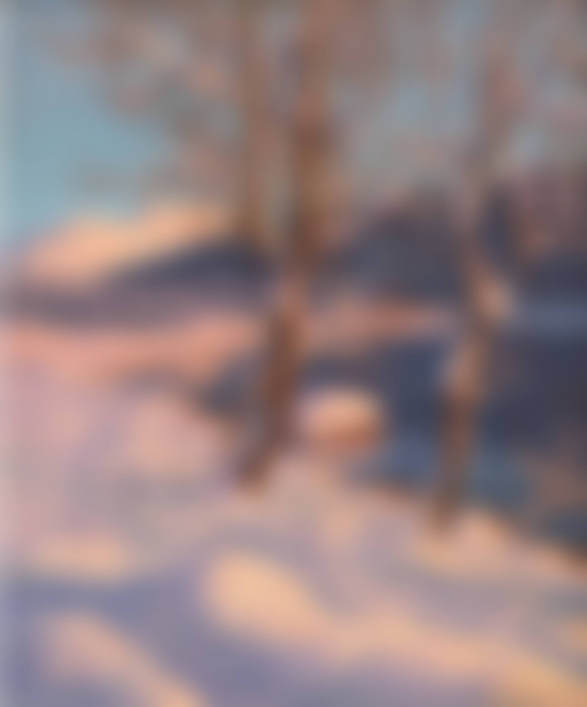 November evening, St Moritz (preview)