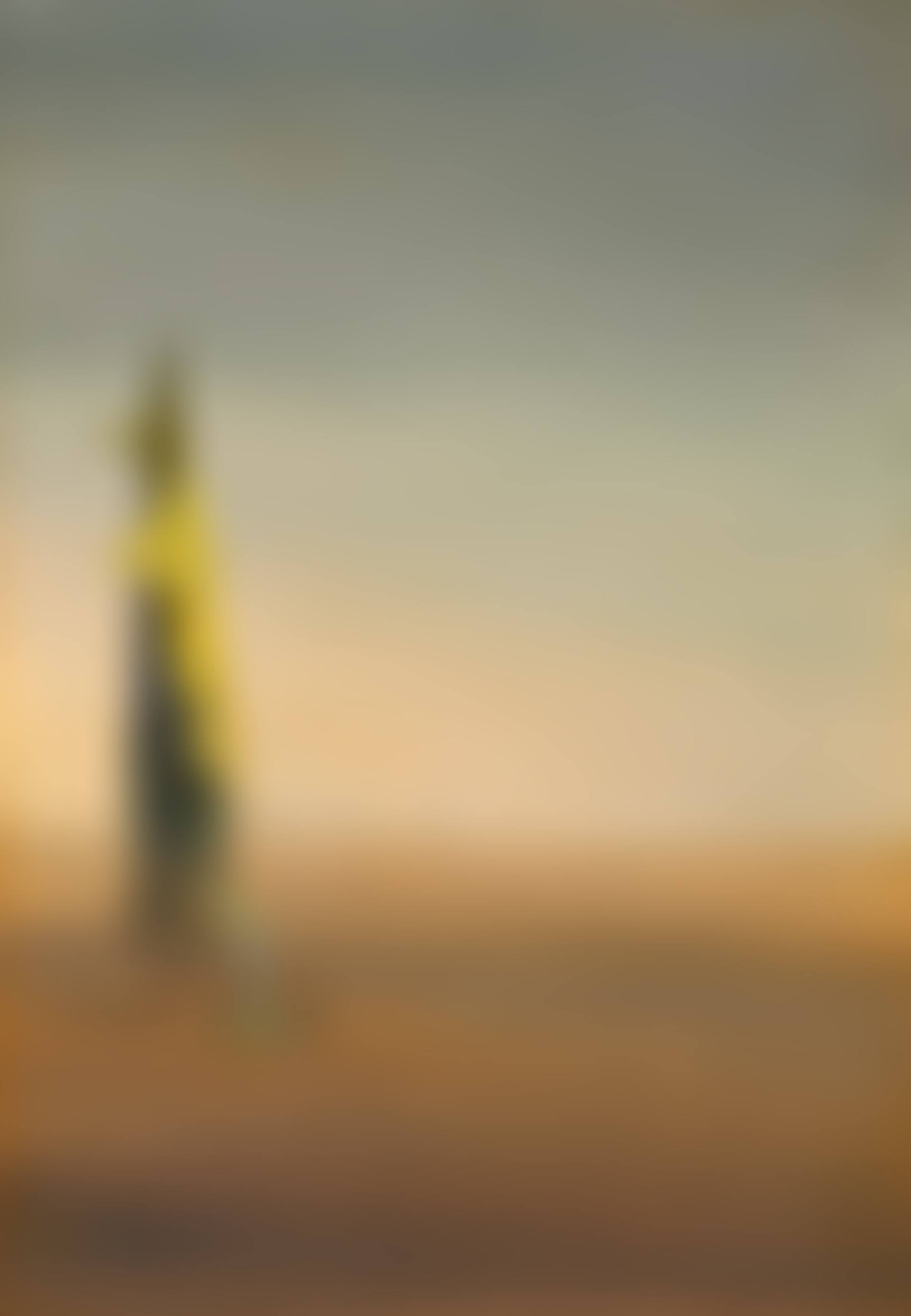 The Birth of Liquid Anguish (Naissance des angoisses liquides) (preview)