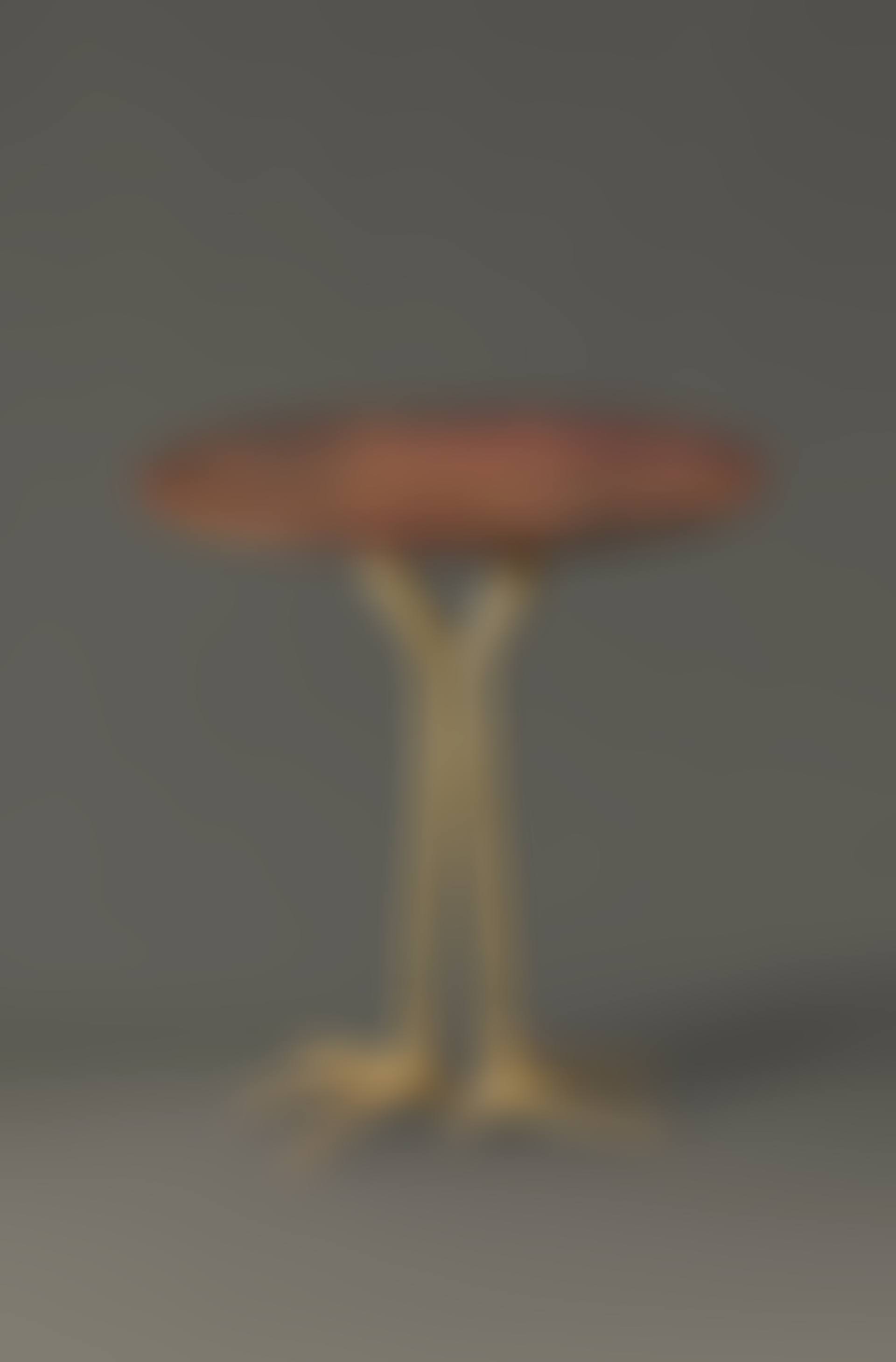 Tisch mit Vogelfüssen (preview)