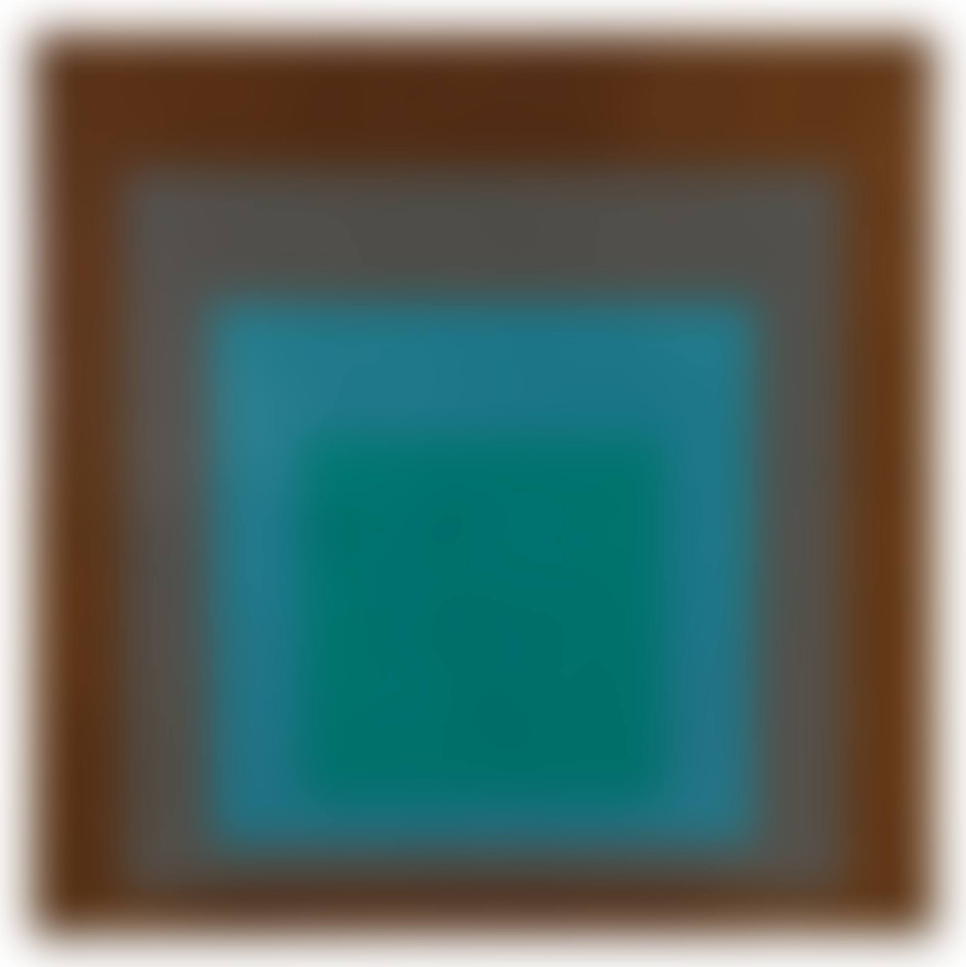 Homage to the Square: Veiled (preview)