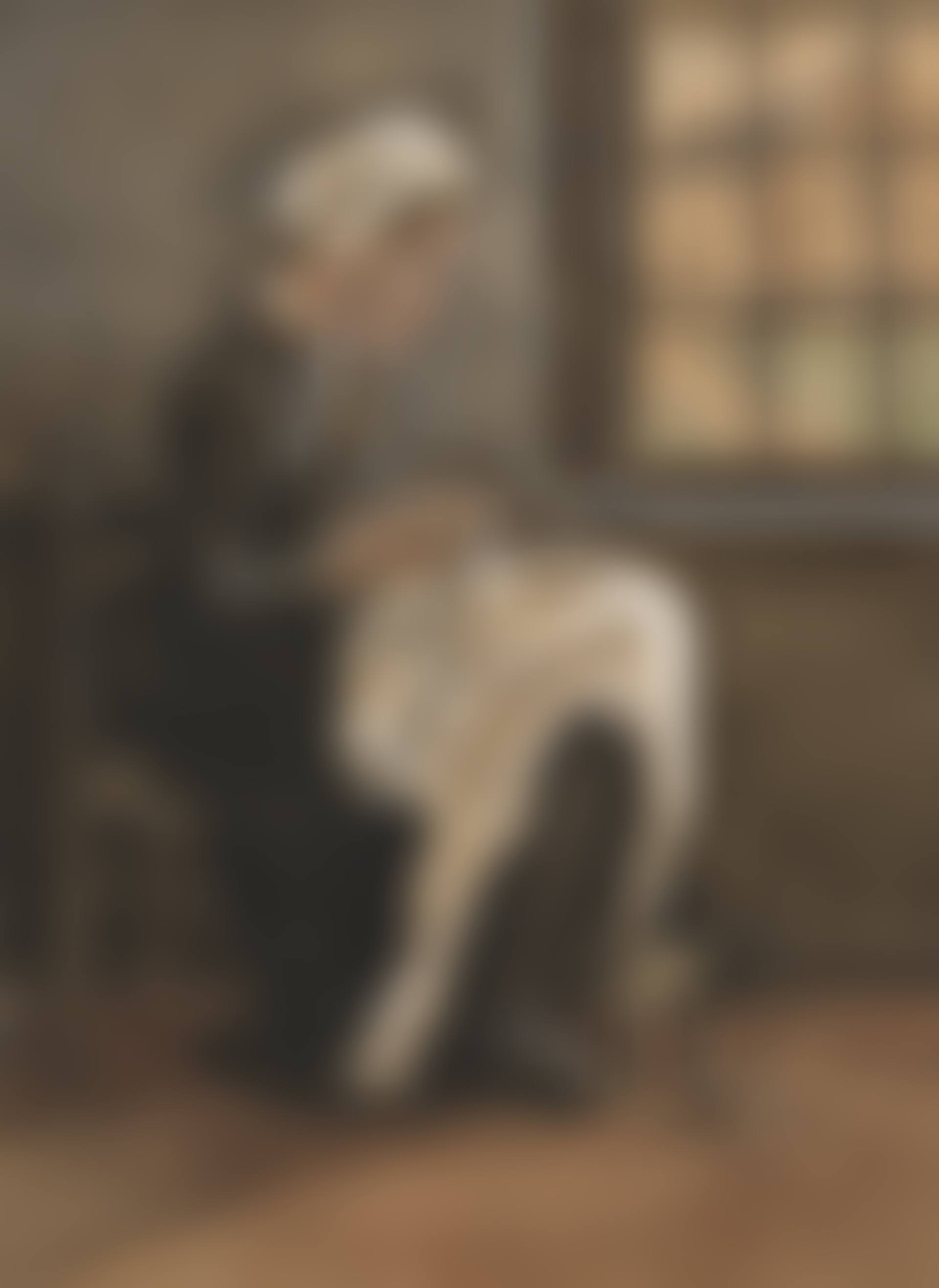 Naaiende vrouw (Woman Sewing) (preview)