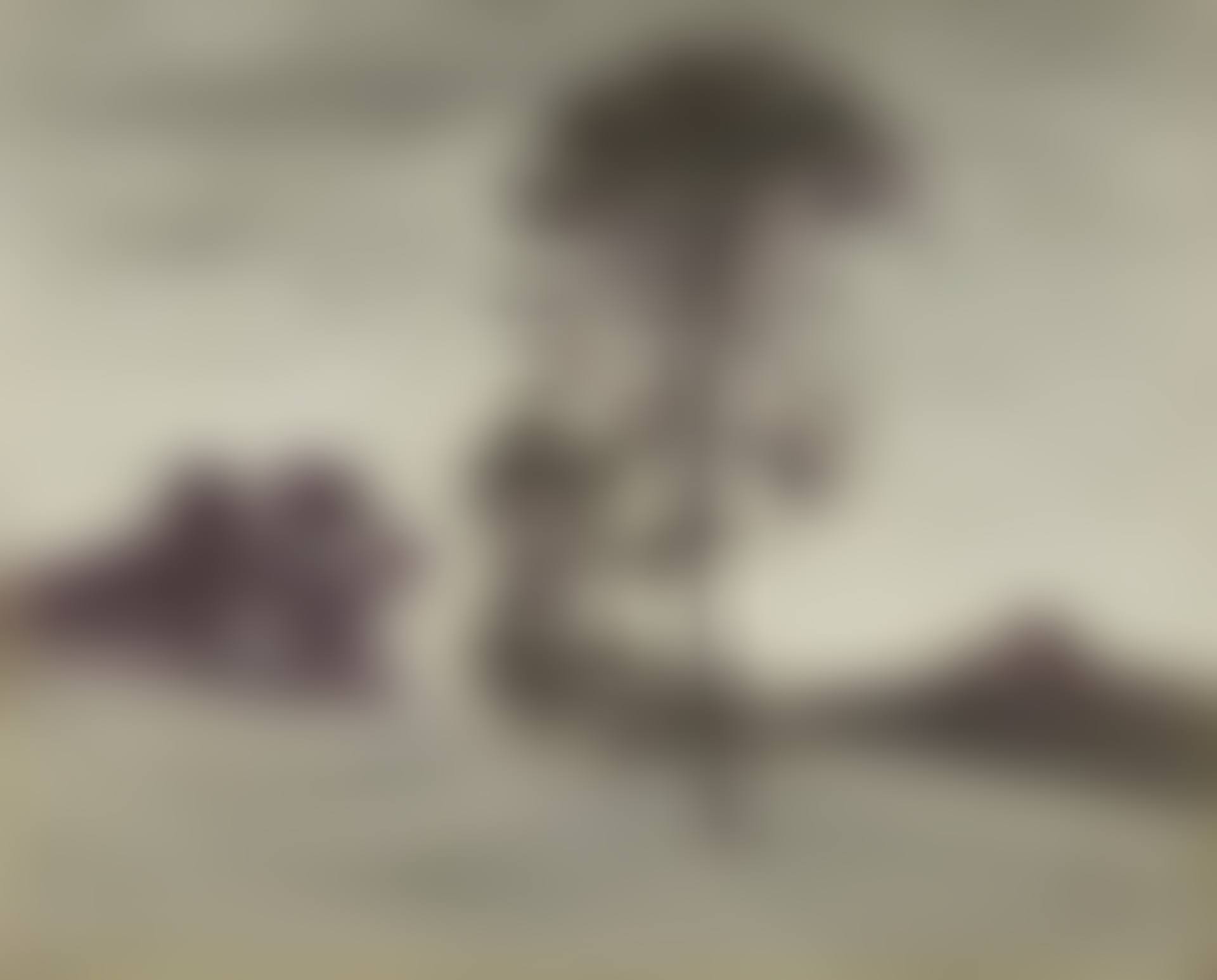 Landskab. Sommer. "Ryet". (preview)