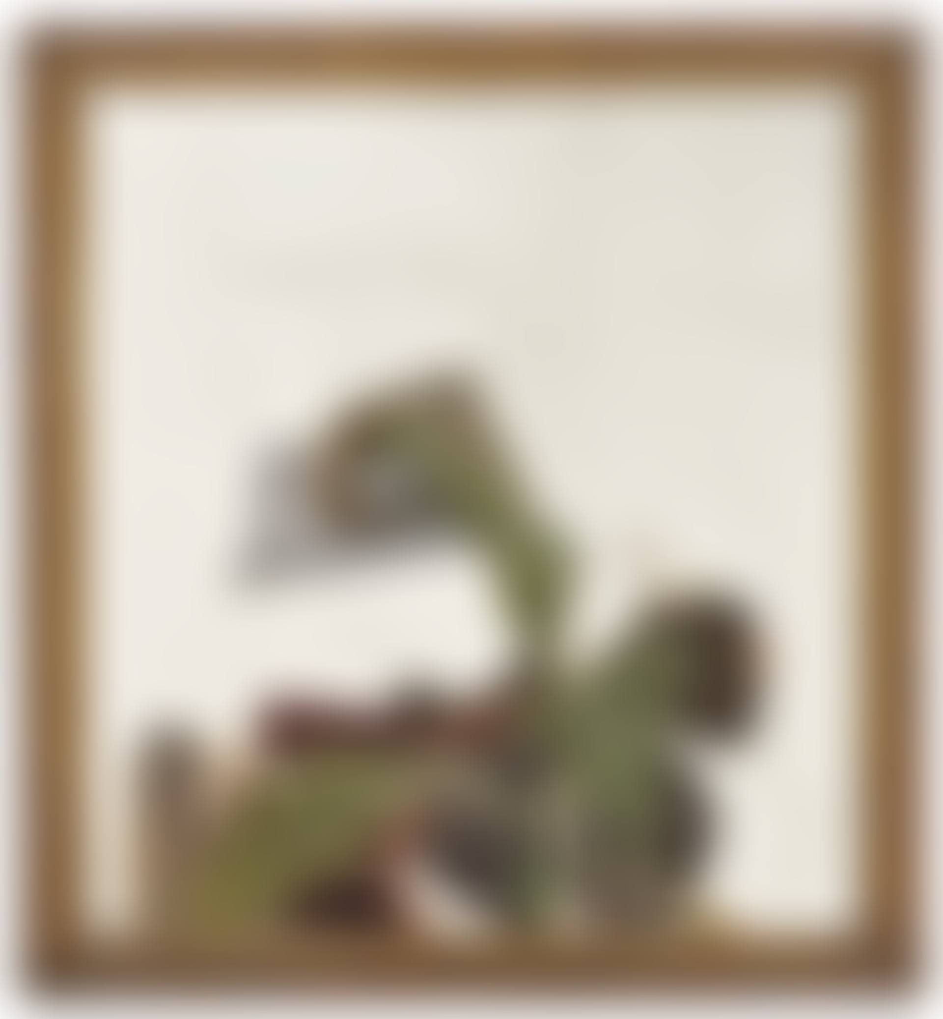 Plant Fragment (preview)