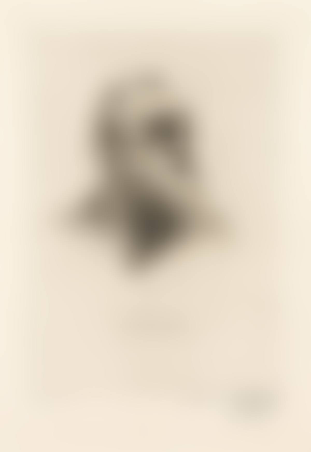 Victor Hugo, de trois quarts . (preview)