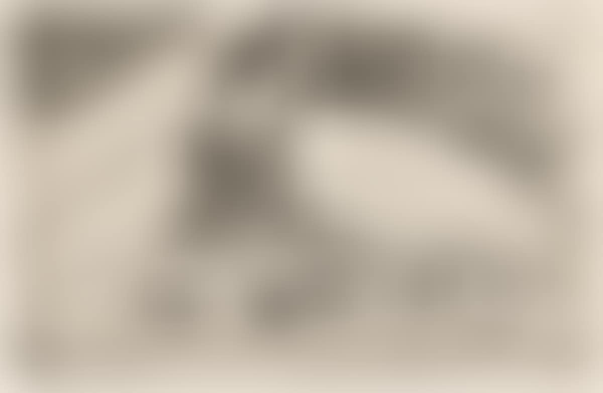 La Femme aux Figues . (preview)