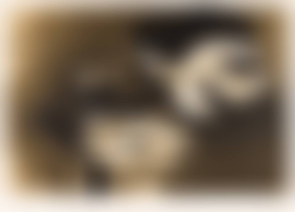 L"Oiseau et son Nid. (preview)