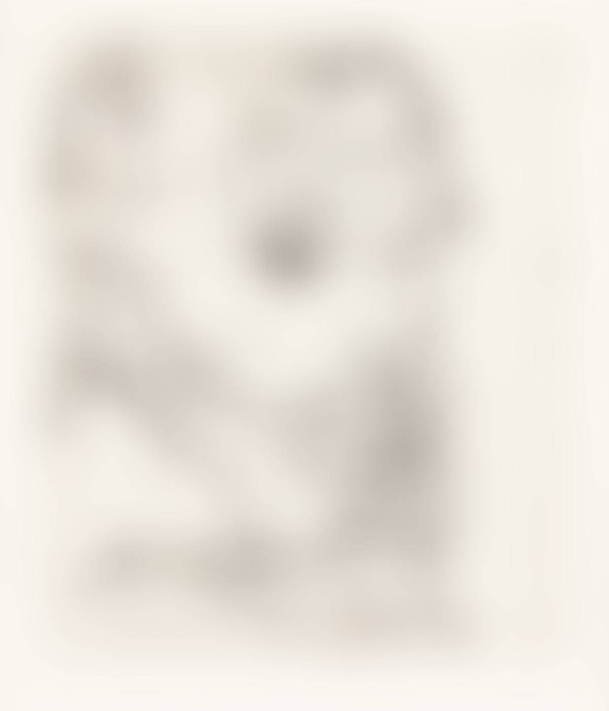 Bildnis Franz Hauer . (preview)