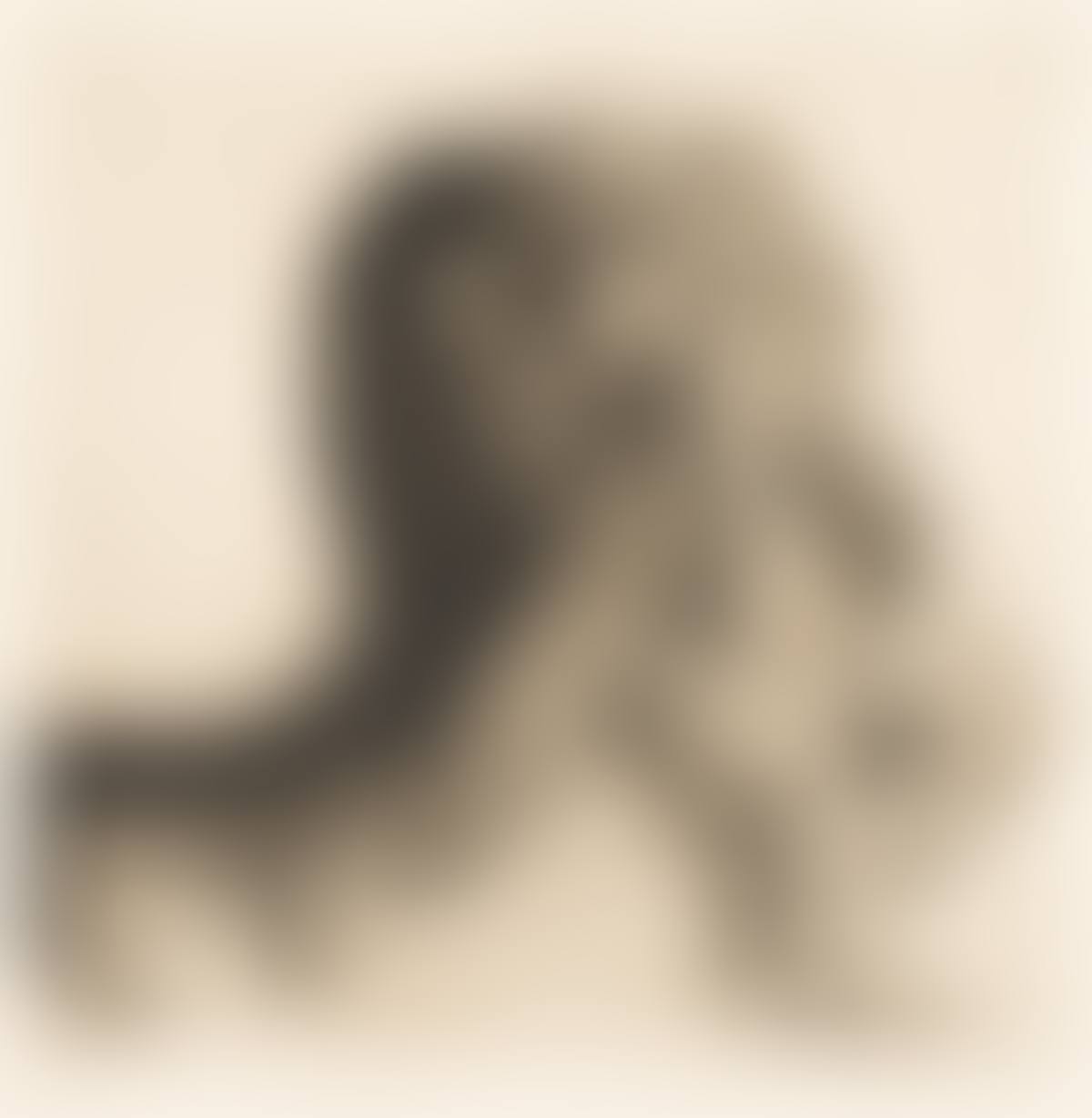 Tod und Frau . (preview)