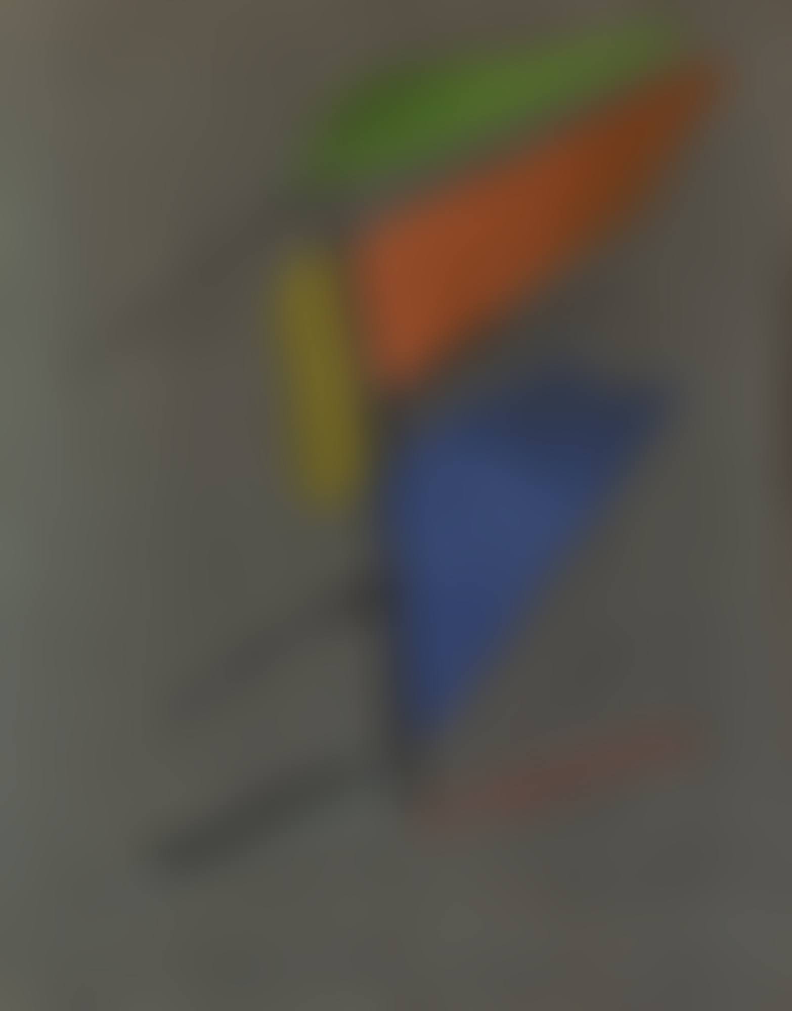 Black Skimmer (preview)