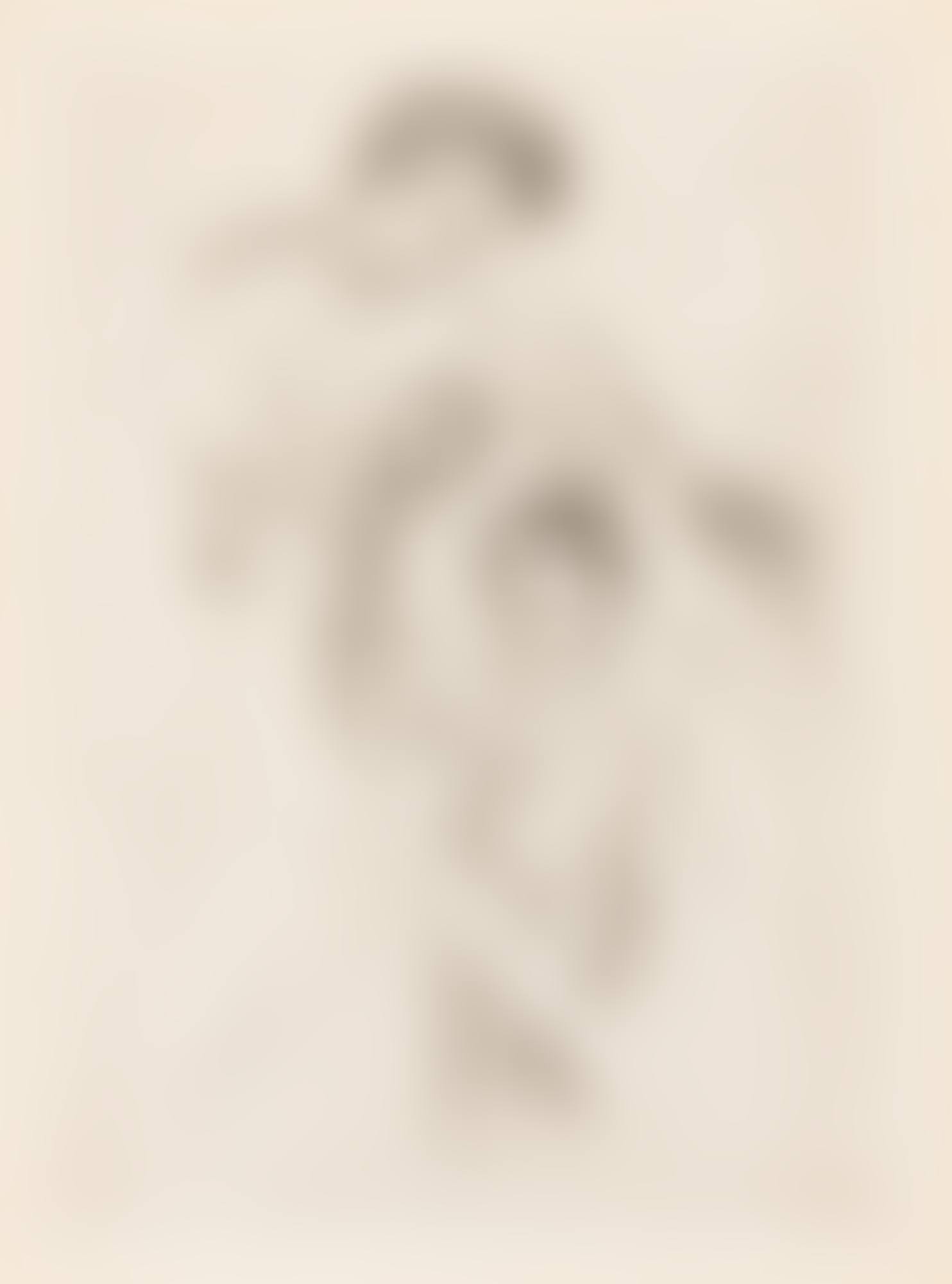 LOOK INTO THE HAND MIRROR (BREESKIN 202) (preview)