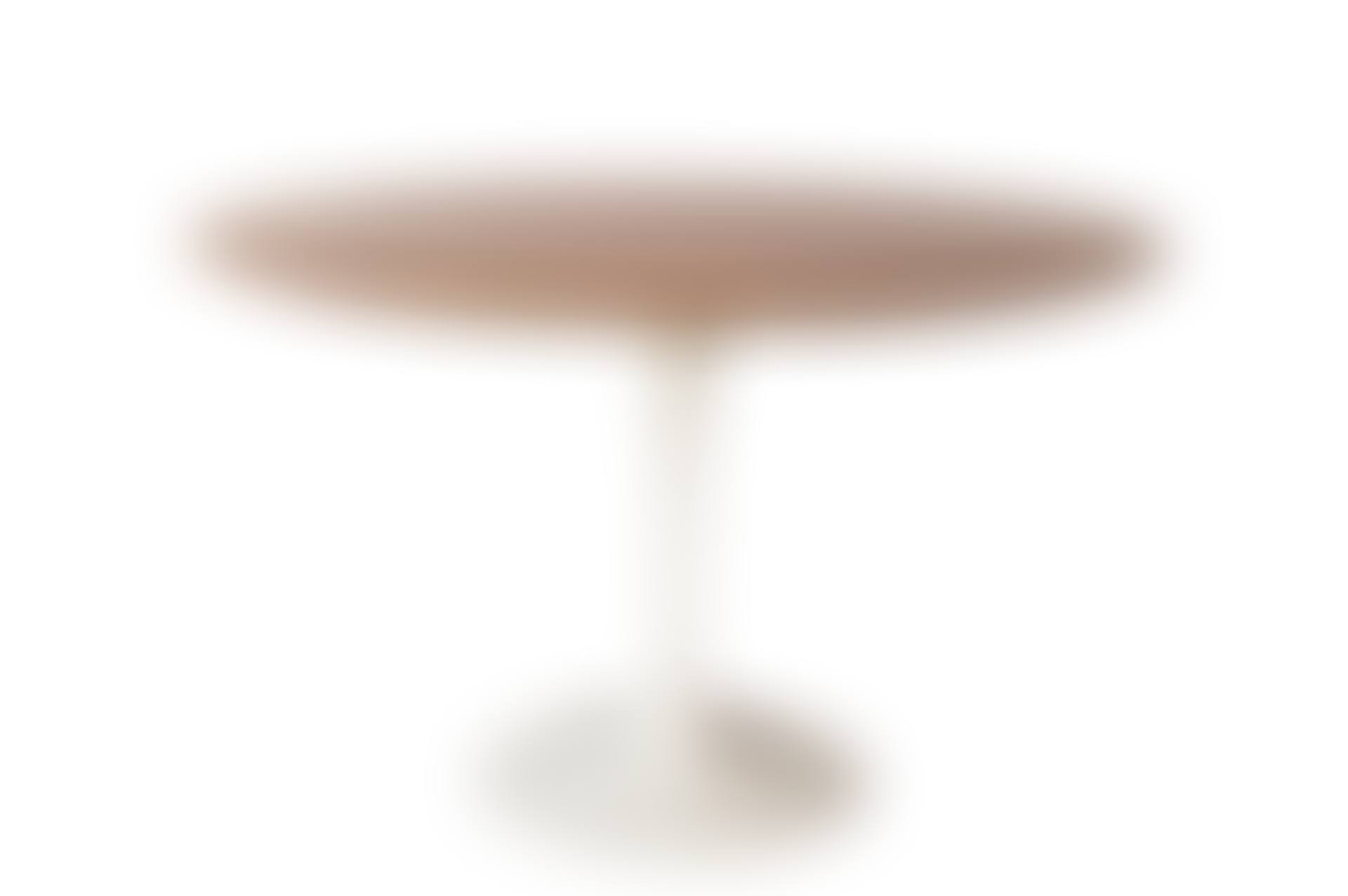 Enamelled Metal and Walnut Tulip Dining Table (preview)