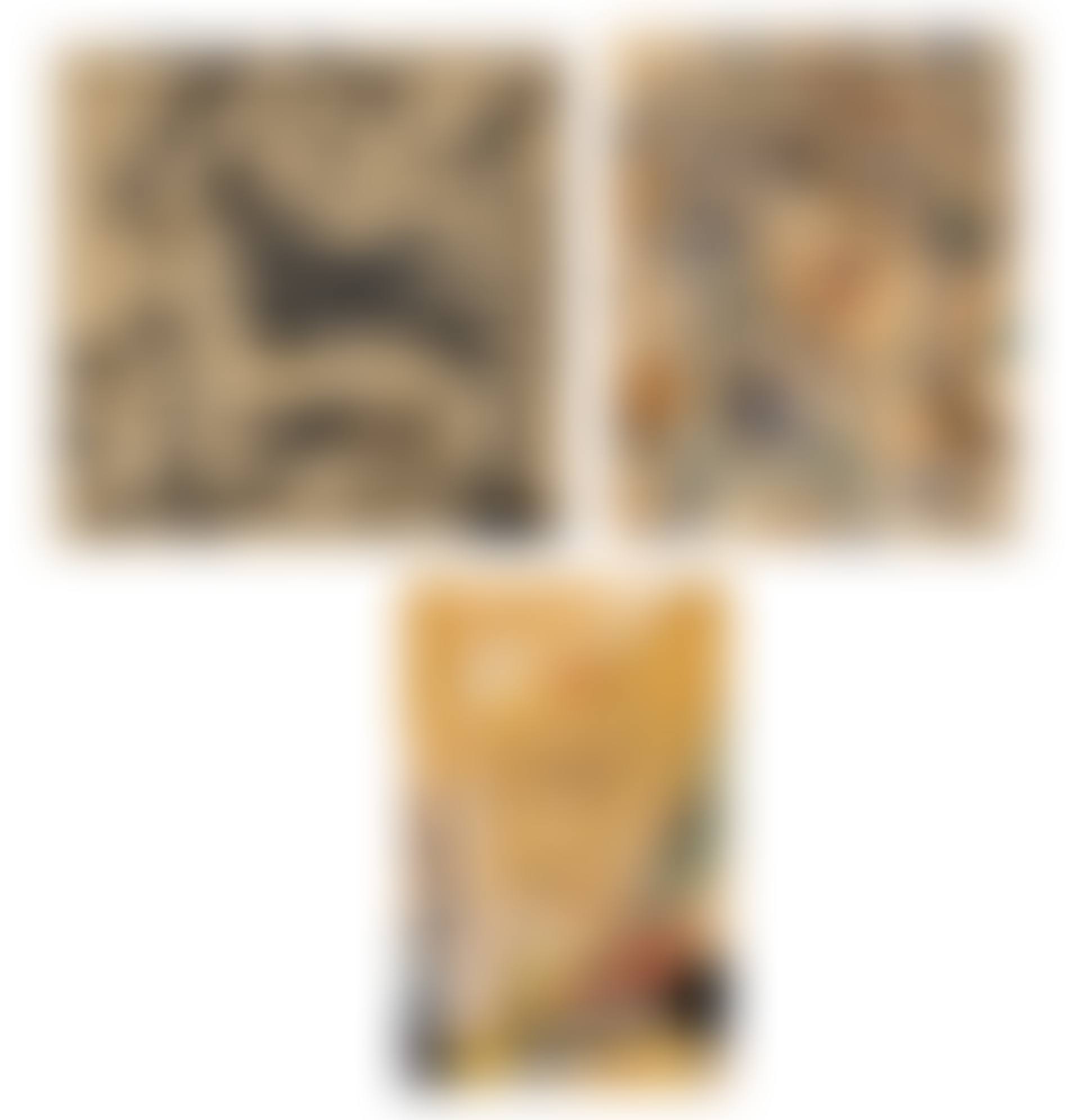 (i) Untitled; (ii) Untitled; (iii) Untitled (preview)