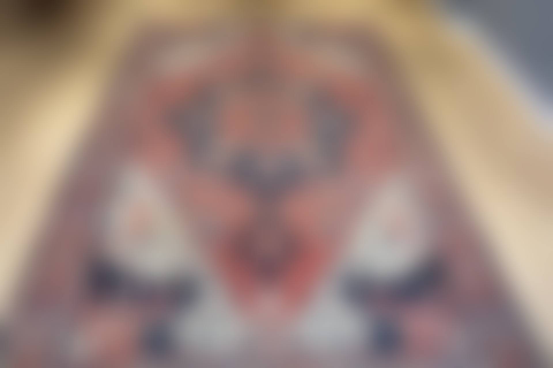 Heriz Carpet (preview)