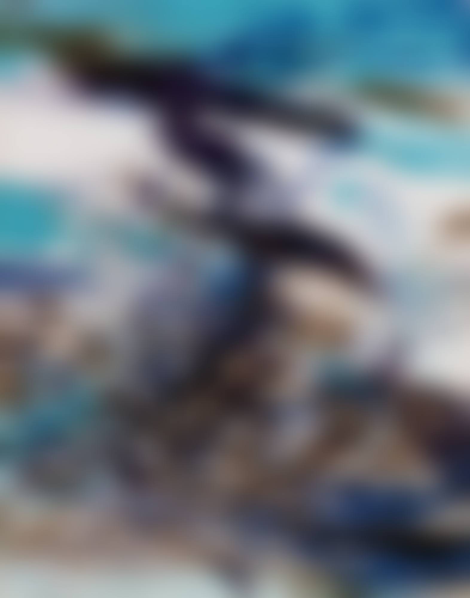 UNTITLED (AGERUP 155) (preview)
