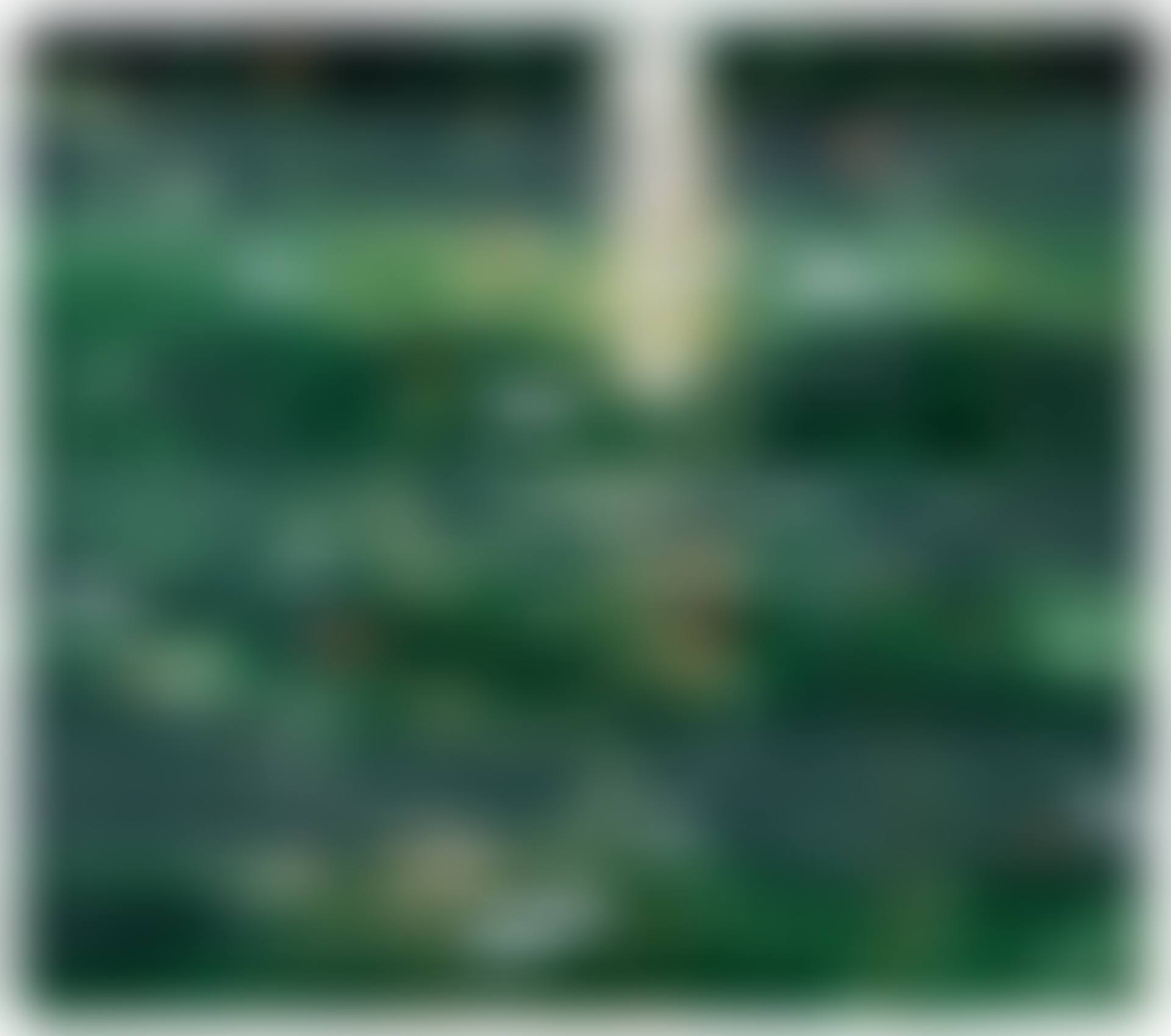 POND EDGE V (REFLECTIONS) (preview)